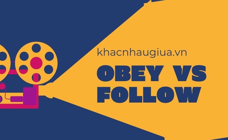 Khác nhau giữa Obey và Follow