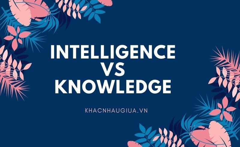 Khác nhau giữa Intelligence và Knowledge