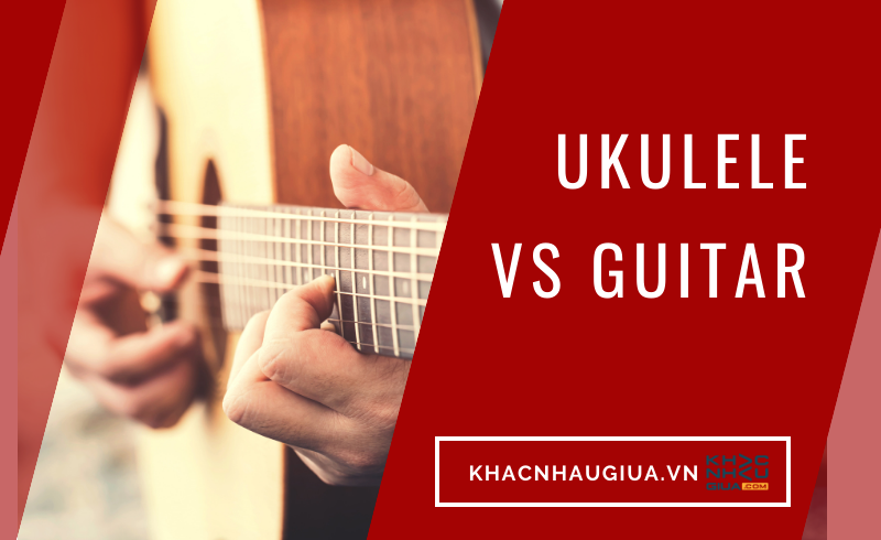 guitar và ukulele