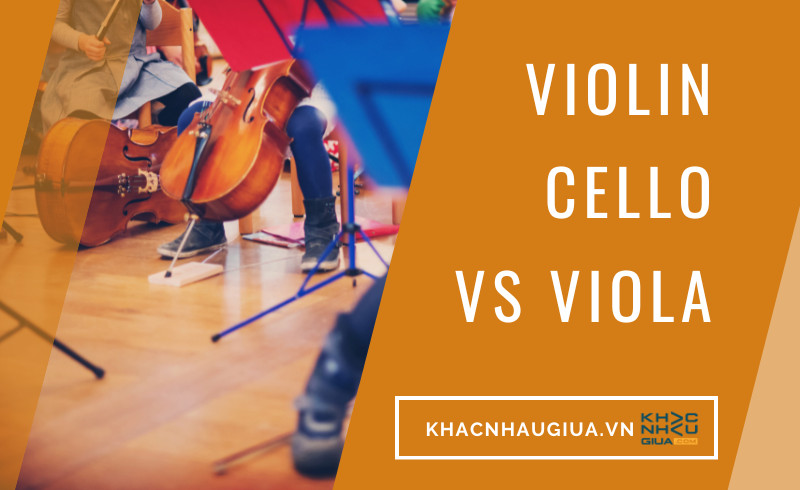 violin cello viola