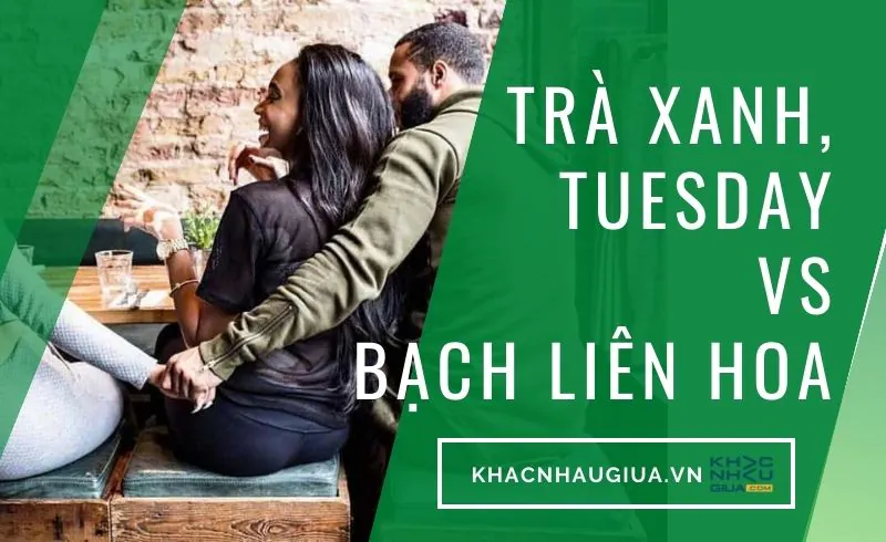 trà xanh, tuesday, bạch liên hoa